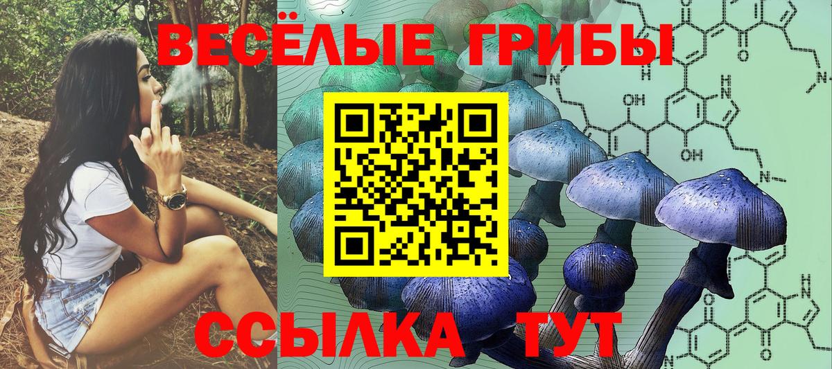 Псилоцибиновые грибы мухоморы  Вход с VPN  Псилоцибиновые грибы прущие грибы  Майский 